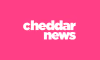 Cheddar