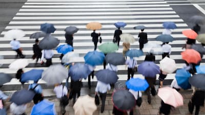 people with umbrellas crossing street during spring shower