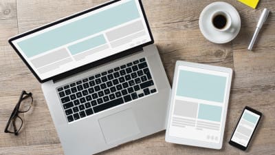 Cell Phone Tablet Laptop Skills in 60: Mobile Optimized Marketing