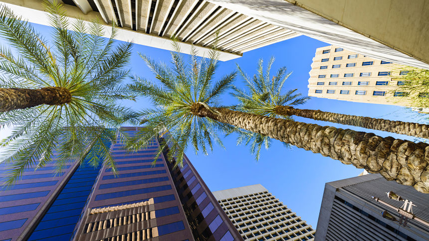 10 Hot Media Jobs in Phoenix 