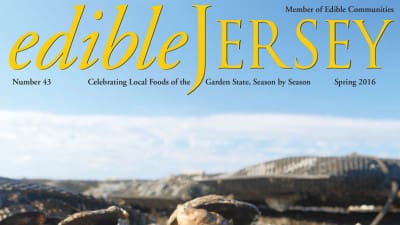 Edible Jersey Cover spring 2016