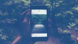 iphone forest instagram boost your brand with instagram stories