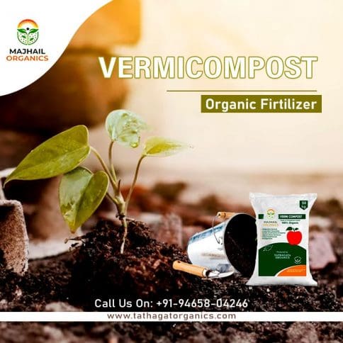 Revolutionize farming with the top vermicompost manufacturers in punjab