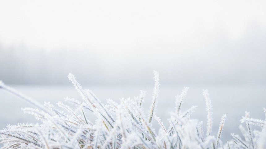 Coldest Januarys in New York since 1895