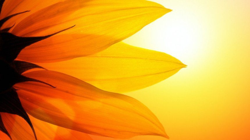 Hottest Marches in New York since 1895