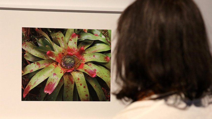 Oscar-winner Steve McQueen on the flowers that outlived empire